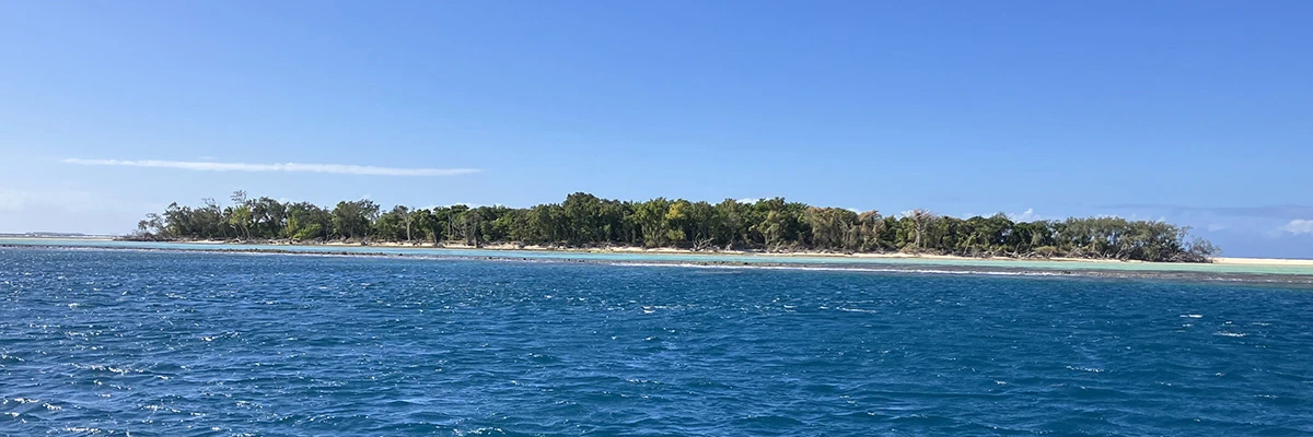 Actualité numéro 119